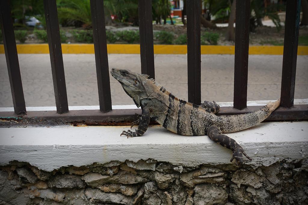 Hostel El Corazon Cancún Exteriér fotografie